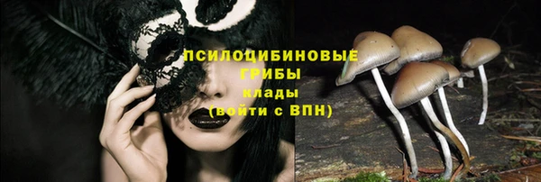 jwh Арсеньев