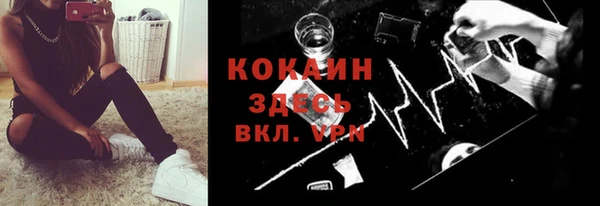 прущие грибы Армянск