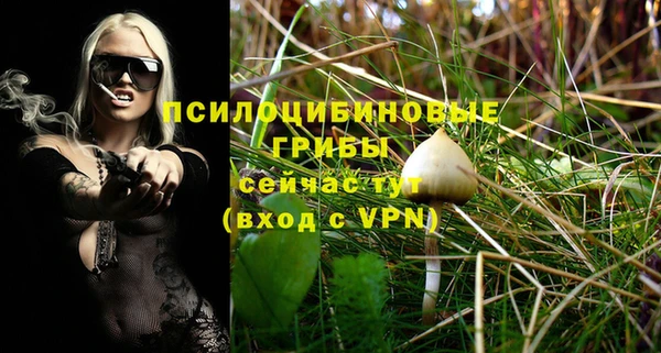 прущие грибы Армянск