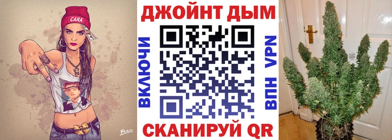 Бошки Шишки планчик Артёмовский